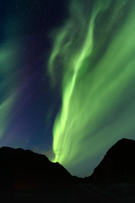 Northern lights about a mountain in Lofoten islands, Norway